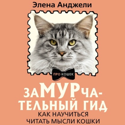 ЗаМУРчательный гид. Как научиться читать мысли кошки