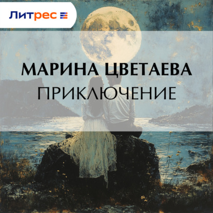 Скачать книгу Приключение