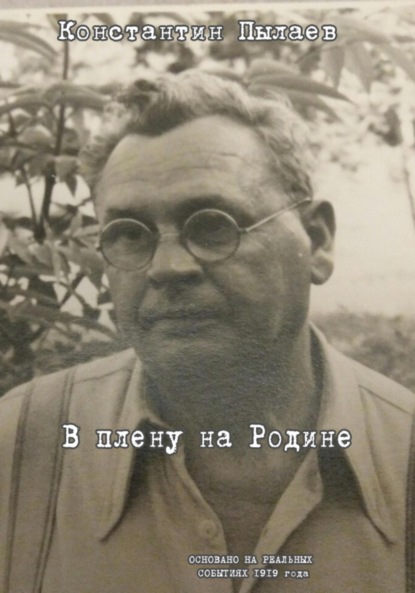 Скачать книгу В плену на Родине