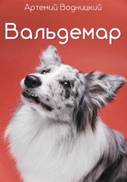 Скачать книгу Вальдемар