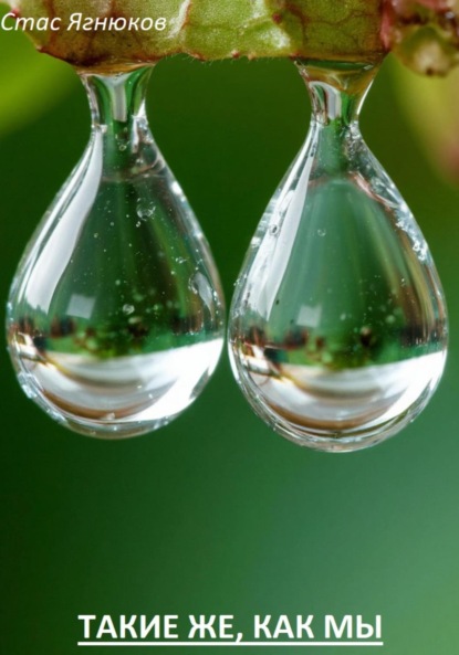 Скачать книгу Такие же, как мы