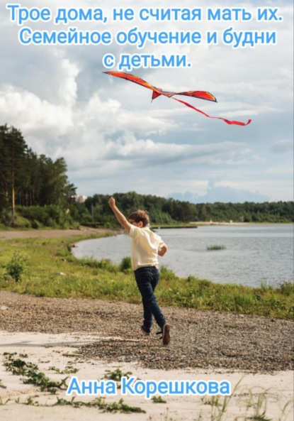 Трое дома, не считая мать их. Семейное обучение и будни с детьми