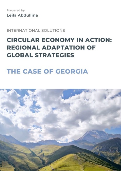 Скачать книгу Circular economy in action: Regional adaptation of global strategies. The case of Georgia