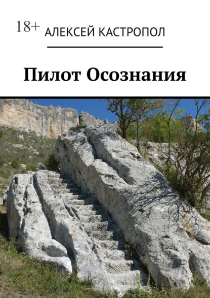 Скачать книгу Пилот Осознания