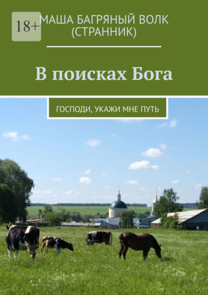 Скачать книгу В поисках Бога. Господи, укажи мне путь