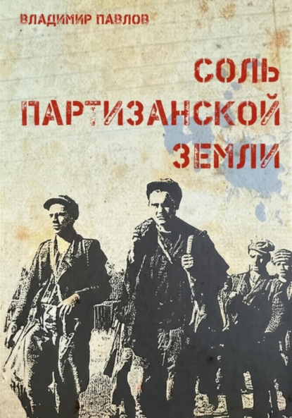 Скачать книгу Соль партизанской земли