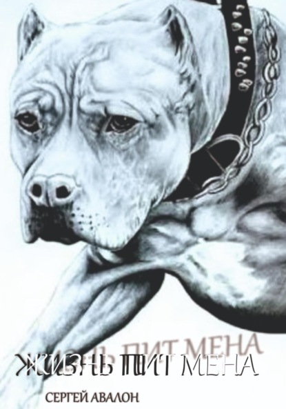 Жизнь Пит мена