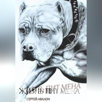 Скачать книгу Жизнь Пит мена