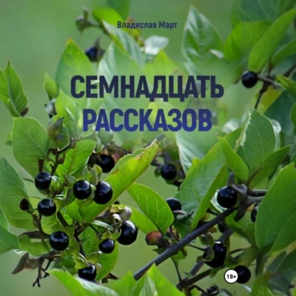 Скачать книгу Семнадцать рассказов