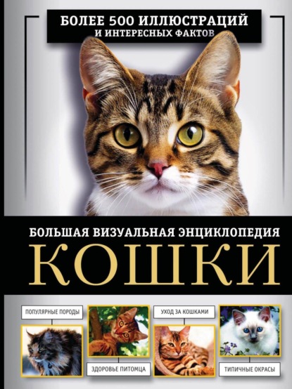 Скачать книгу Кошки. Большая визуальная энциклопедия