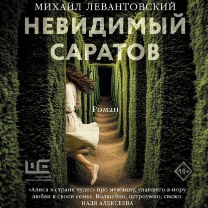 Скачать книгу Невидимый Саратов