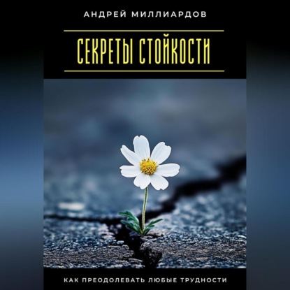 Скачать книгу Секреты стойкости. Как преодолевать любые трудности