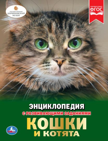 Скачать книгу Кошки и котята