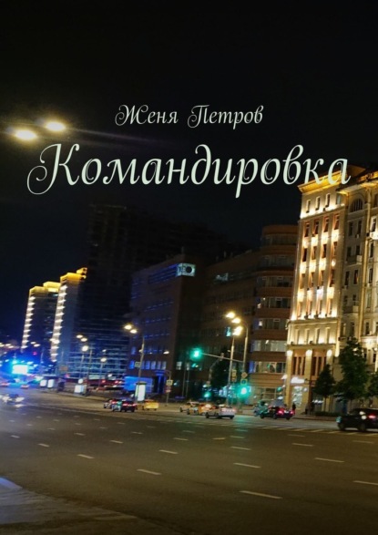 Скачать книгу Командировка