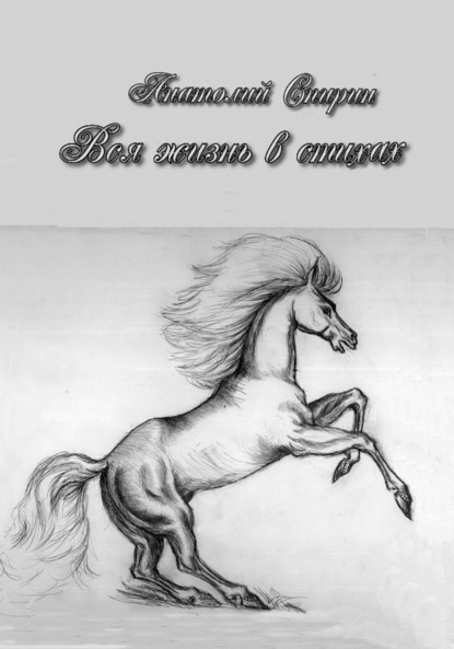 Скачать книгу Вся жизнь в стихах