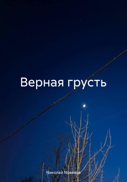 Скачать книгу Верная грусть