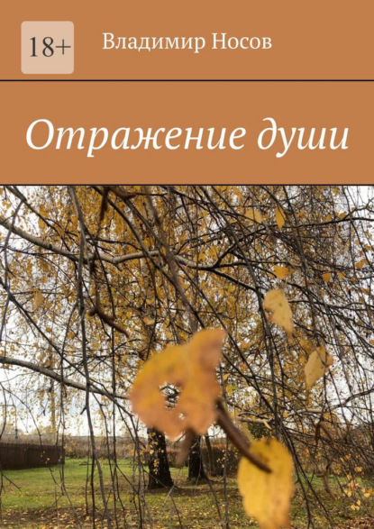 Скачать книгу Отражение души
