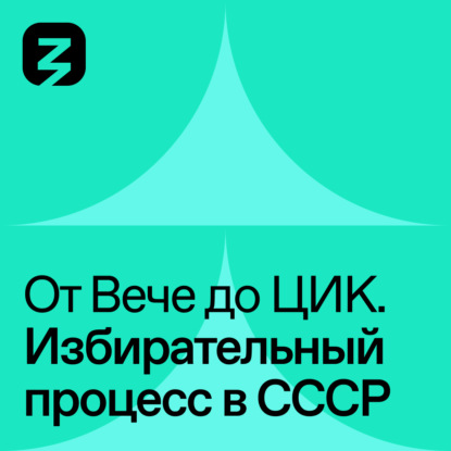 Избирательный процесс в СССР