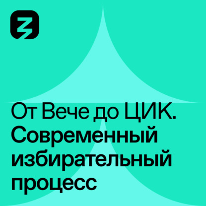 Скачать книгу Современный избирательный процесс