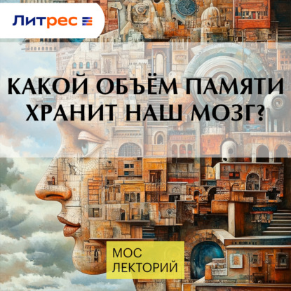 Скачать книгу Какой объём памяти хранит наш мозг?