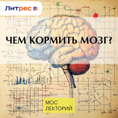 Скачать книгу Чем кормить мозг?