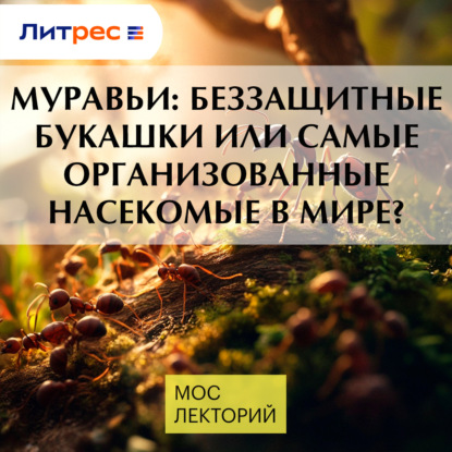 Скачать книгу Муравьи: беззащитные букашки или самые организованные насекомые в мире?