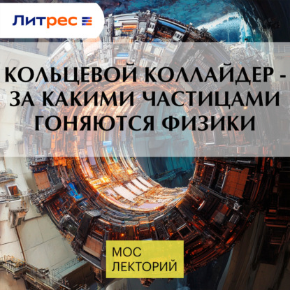 Скачать книгу Кольцевой коллайдер - за какими частицами гоняются физики