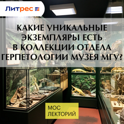 Скачать книгу Какие уникальные экземпляры есть в коллекции отдела герпетологии музея МГУ?