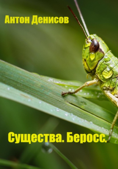 Скачать книгу Существа. Беросс