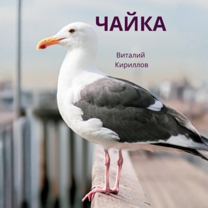 Скачать книгу Чайка