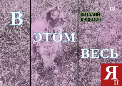 Скачать книгу В этом весь я II