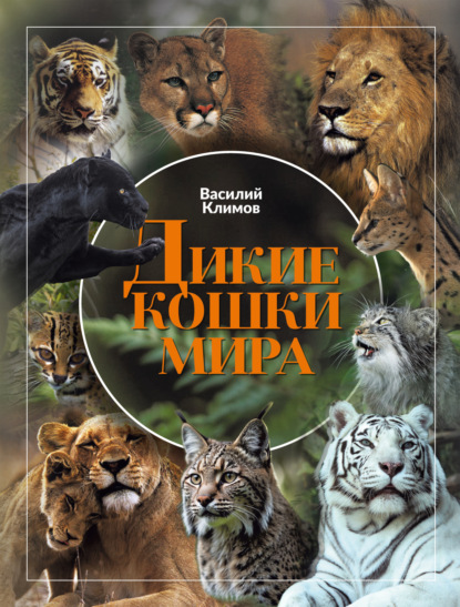 Скачать книгу Дикие кошки мира