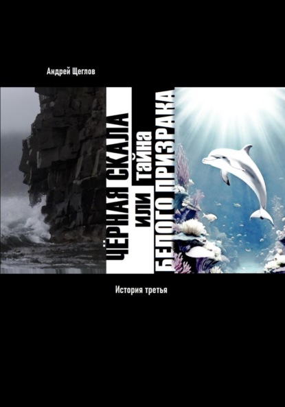 Скачать книгу Чёрная Скала или тайна Белого Странника: история третья