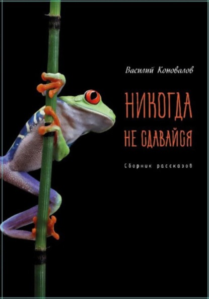 Скачать книгу Никогда не сдавайся