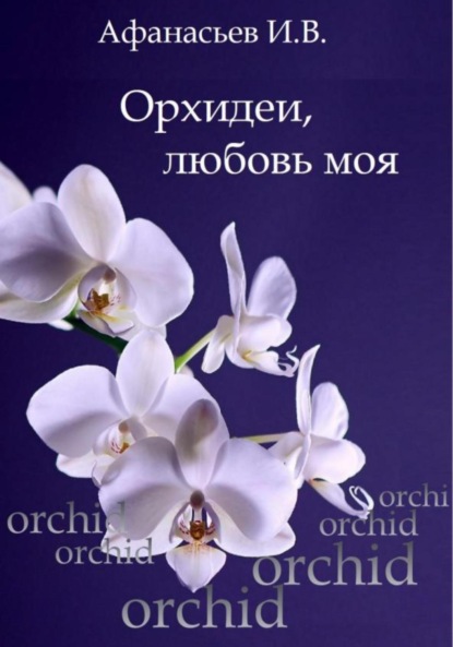 Орхидеи, любовь моя