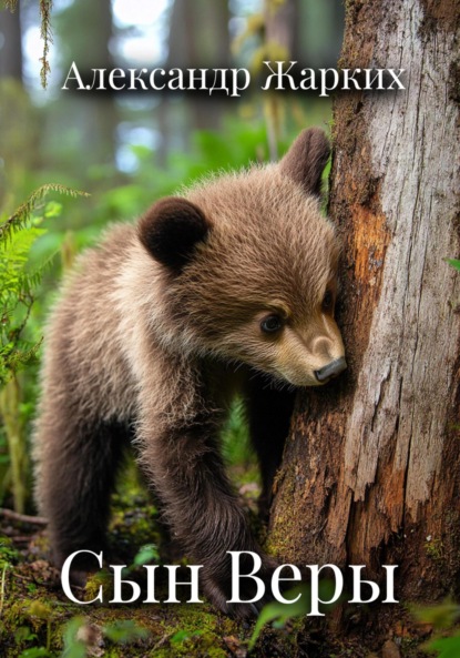 Скачать книгу Сын Веры