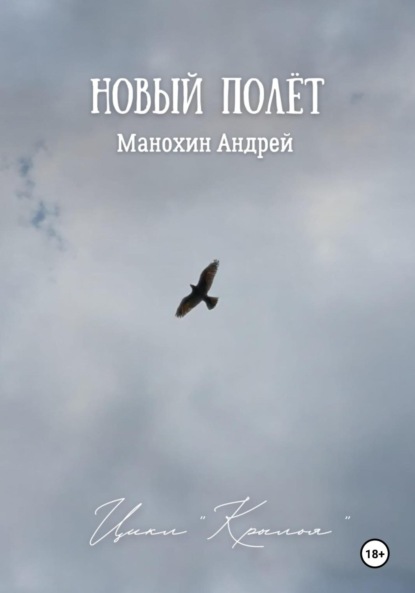 Скачать книгу Новый полёт