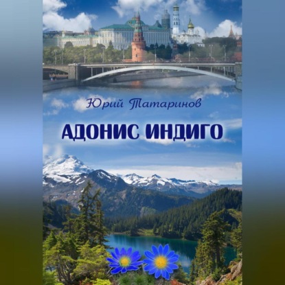 Скачать книгу Адонис Индиго
