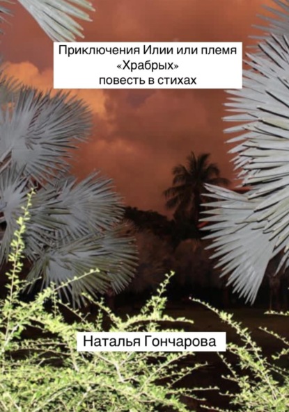 Приключения Илии или племя «Храбрых»