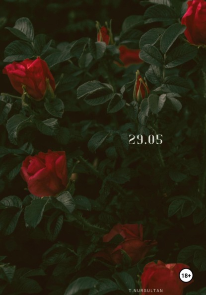 Скачать книгу 29.05