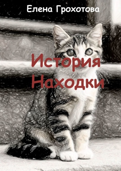 Скачать книгу История Находки