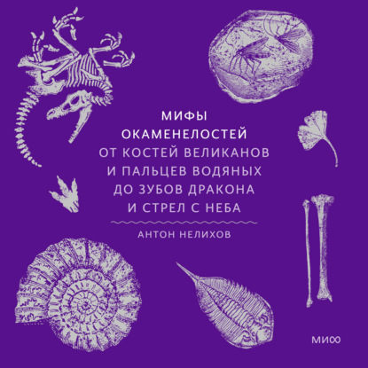 Скачать книгу Мифы окаменелостей. От костей великанов и пальцев водяных до зубов дракона и стрел с неба