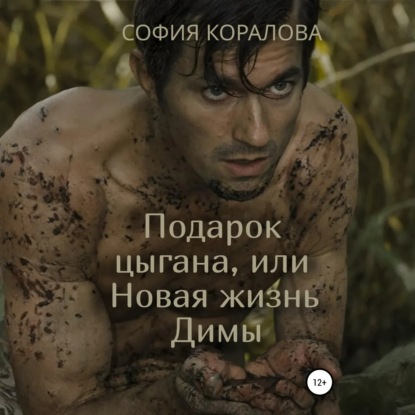 Скачать книгу Подарок цыгана, или Новая жизнь Димы