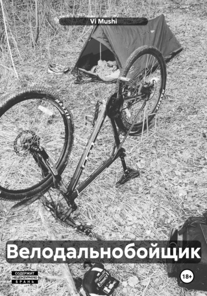 Скачать книгу Велодальнобойщик