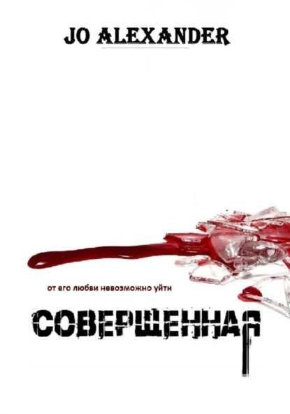 Скачать книгу Совершенная