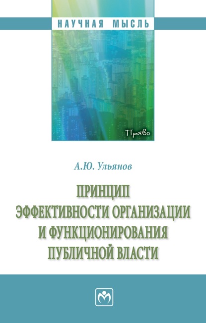 Скачать книгу Принцип эффективности организации и функционирования публичной власти