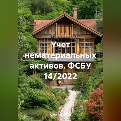 Учет нематериальных активов. ФСБУ 14/2022