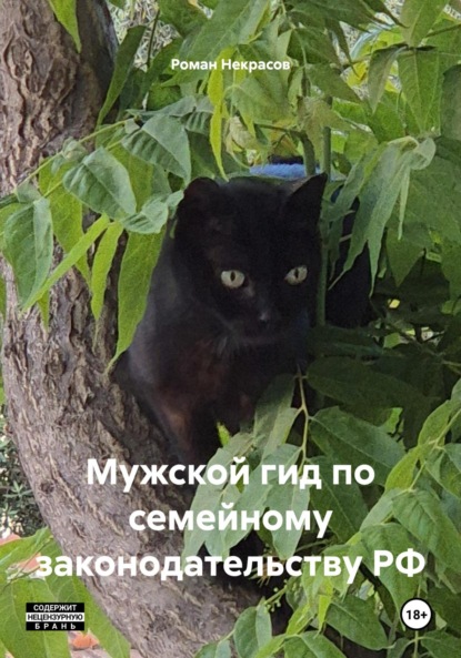 Скачать книгу Мужской гид по семейному законодательству РФ