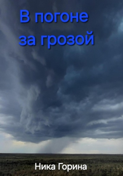 Скачать книгу В погоне за грозой