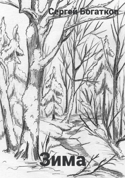 Скачать книгу Зима